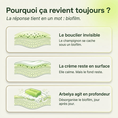 Arbelya Savon Antifongique