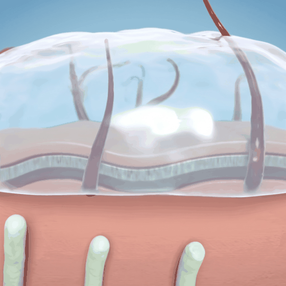 Animation : le biofilm, la mousse qui le casse, le savon Arbelya